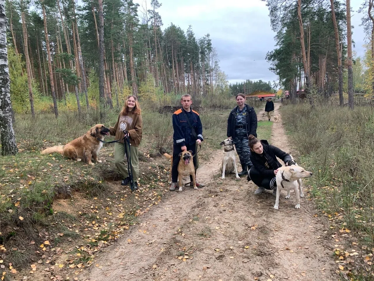 Рязанский колледж имени Героя Советского Союза Н.Н. Комарова